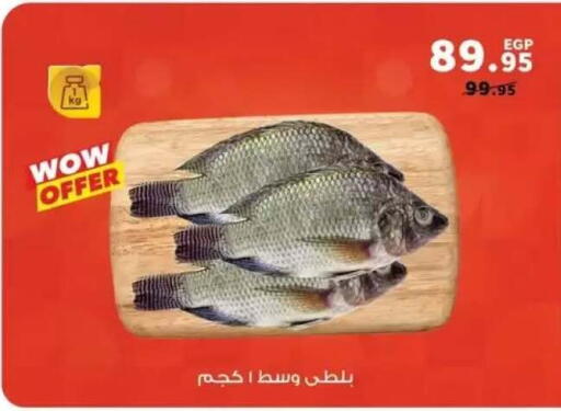 available at Panda  in Egypt - Cairo