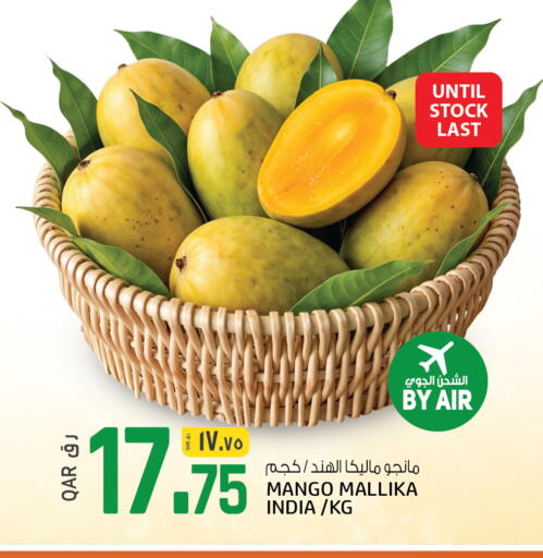 Mango from India available at السعودية in قطر - الوكرة