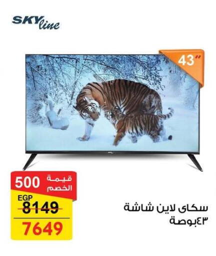 available at Fathalla Market  in Egypt - Cairo