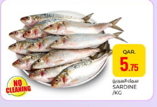 available at Paris Hypermarket in Qatar - Al Khor
