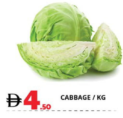 Cabbage available at EXPRESS AL MADEENA HYPERMARKET LLC in UAE - Abu Dhabi