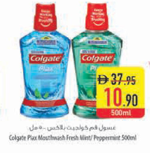 Mint available at Safeer Market in UAE - Dubai