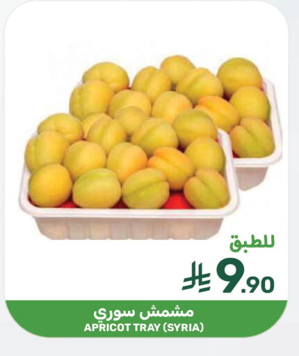 Apricot from Syria available at  مـزايــا in مملكة العربية السعودية, السعودية, سعودية - سيهات