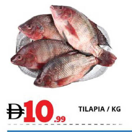 available at EXPRESS AL MADEENA HYPERMARKET LLC in UAE - Abu Dhabi