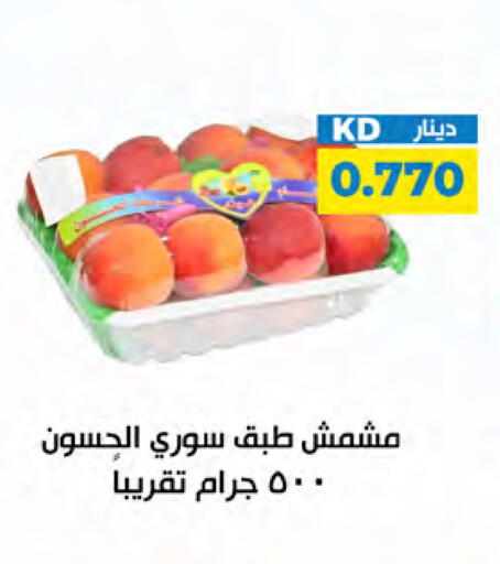 available at شركة سوق ميم المركزي  in الكويت - مدينة الكويت