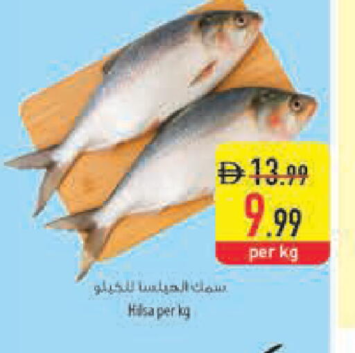 available at Safeer Market in UAE - Dubai