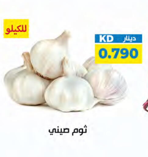 available at شركة سوق ميم المركزي  in الكويت - مدينة الكويت