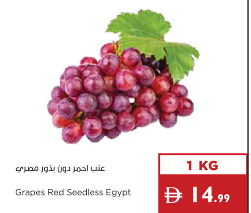 Grapes from Egypt available at إسطنبول سوبرماركت in الإمارات العربية المتحدة , الامارات - رَأْس ٱلْخَيْمَة