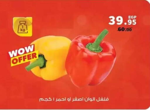 available at Panda  in Egypt - Cairo