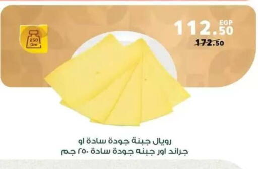 available at بنده in Egypt - القاهرة