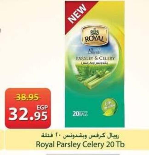 Parsley Celery available at سبينس in Egypt - القاهرة