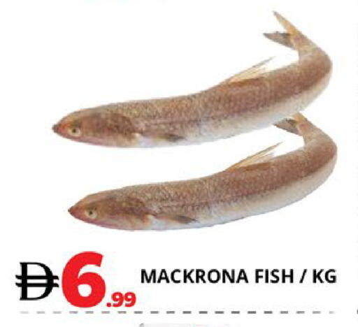 available at EXPRESS AL MADEENA HYPERMARKET LLC in UAE - Abu Dhabi