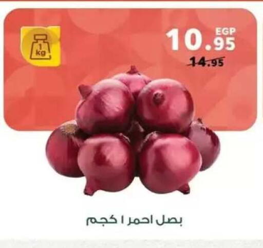 available at Panda  in Egypt - Cairo