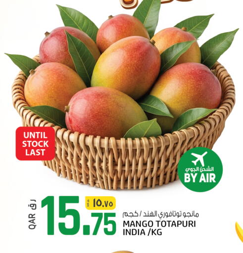 Mango from India available at السعودية in قطر - الوكرة