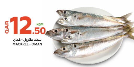 available at البلدي اليوم in قطر - الوكرة