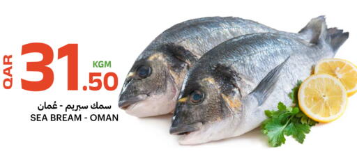 available at البلدي اليوم in قطر - الوكرة