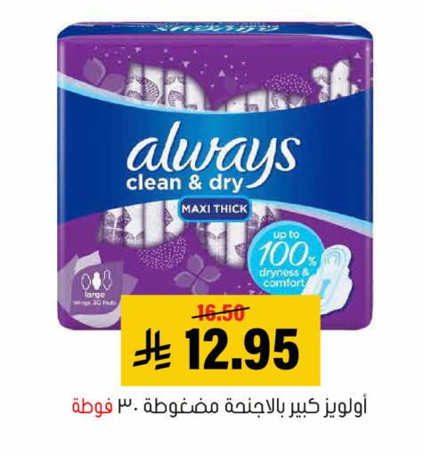 available at Al Amer Market in KSA, Saudi Arabia, Saudi - Al Hasa