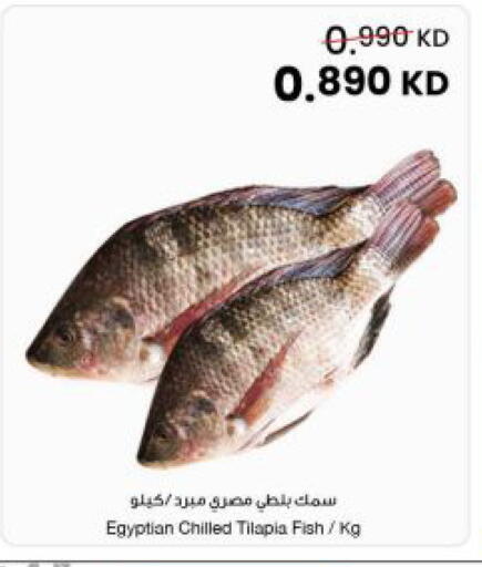 available at مركز سلطان in الكويت - مدينة الكويت