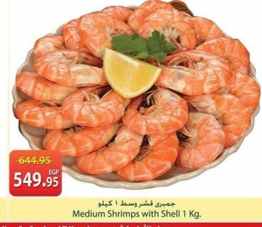 available at سبينس in Egypt - القاهرة
