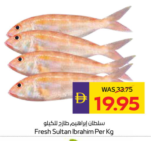 available at ADCOOP in UAE - Abu Dhabi
