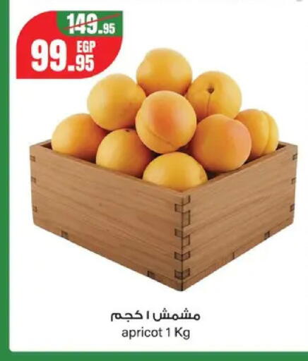 Apricot from Egypt available at Géant Egypt in Egypt - Cairo
