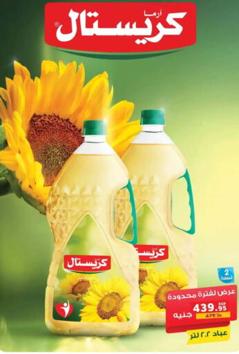 available at بنده in Egypt - القاهرة