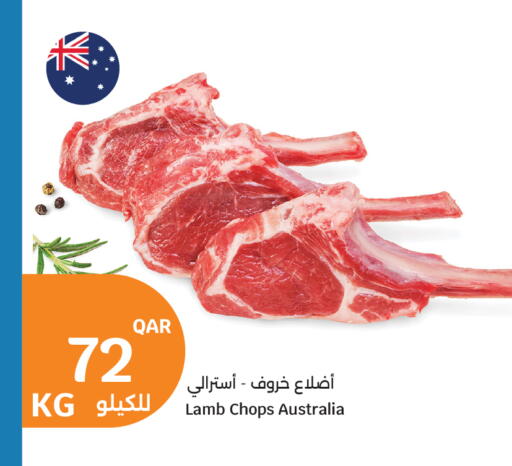 available at سيتي هايبرماركت in قطر - أم صلال