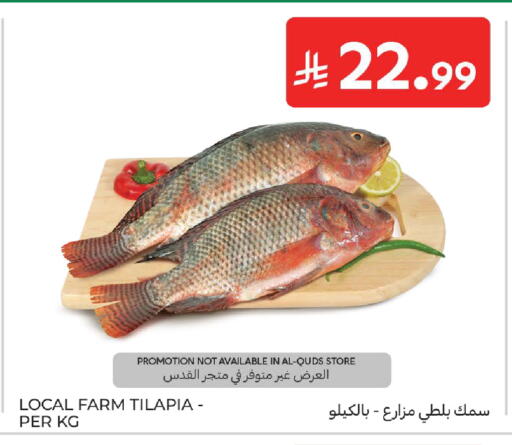 available at Carrefour in KSA, Saudi Arabia, Saudi - Medina
