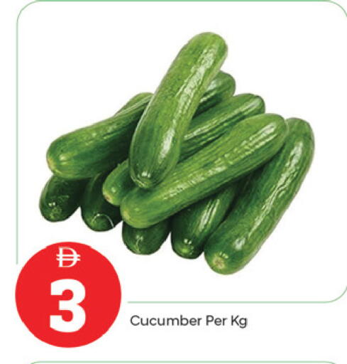 Cucumber available at TALAL MARKET in UAE - Fujairah