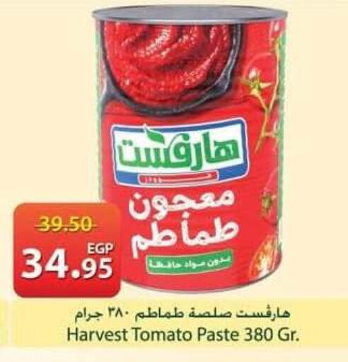 Tomato available at سبينس in Egypt - القاهرة