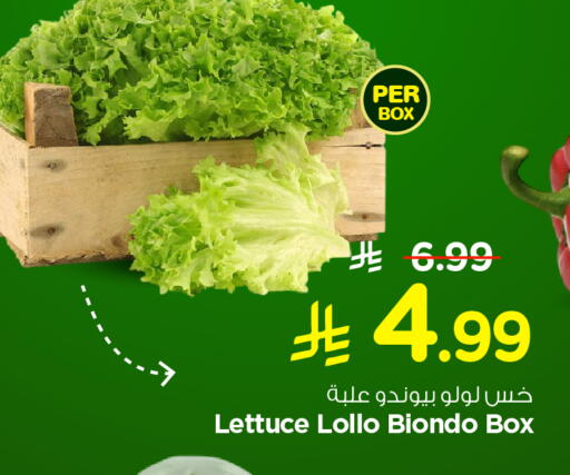 Lettuce available at نستو in مملكة العربية السعودية, السعودية, سعودية - الخرج