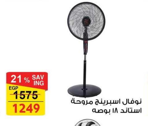 available at فتح الله in Egypt - القاهرة