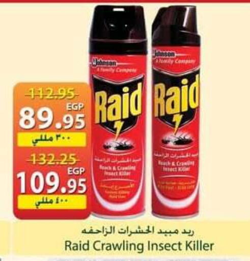 available at سبينس in Egypt - القاهرة