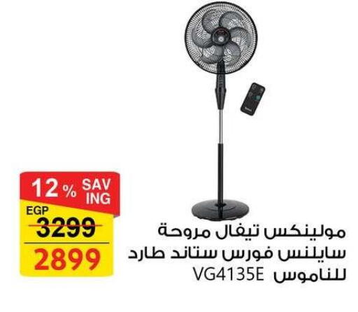 available at فتح الله in Egypt - القاهرة