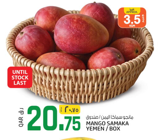 Mango from Yemen available at السعودية in قطر - الوكرة