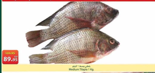 available at سبينس in Egypt - القاهرة