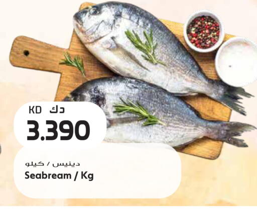 available at جراند هايبر in الكويت - مدينة الكويت