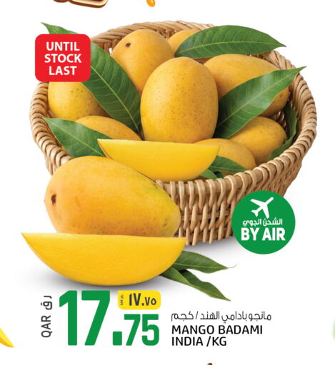 Mango from India available at السعودية in قطر - الوكرة