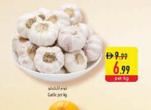 Garlic available at Safeer Market in UAE - Dubai