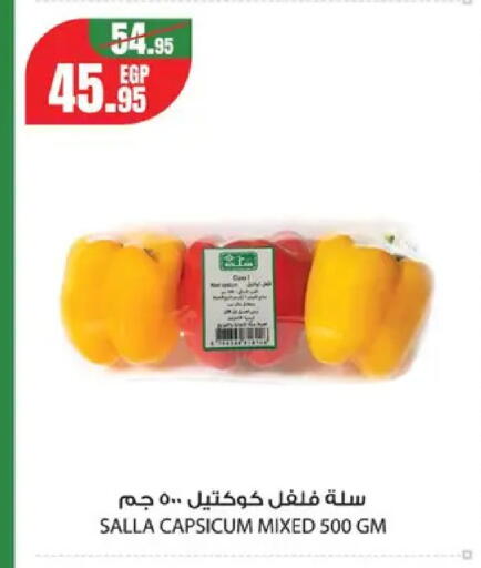 Capsicum from Egypt available at Géant Egypt in Egypt - Cairo