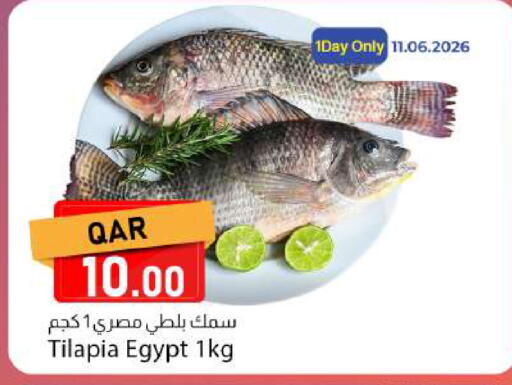 available at دانا ماركت in قطر - الوكرة