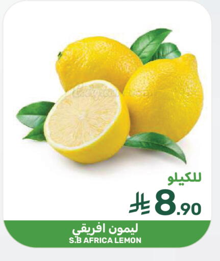 Lemon available at  مـزايــا in مملكة العربية السعودية, السعودية, سعودية - سيهات