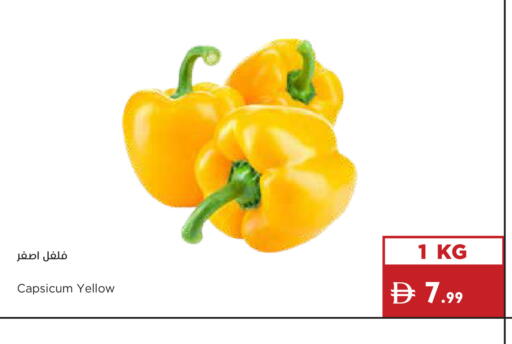 Capsicum available at إسطنبول سوبرماركت in الإمارات العربية المتحدة , الامارات - رَأْس ٱلْخَيْمَة