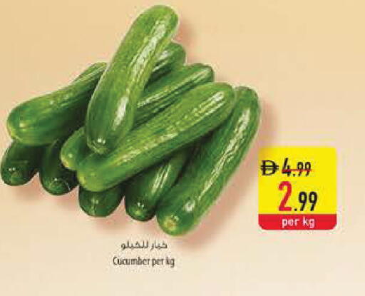 Cucumber available at Safeer Market in UAE - Dubai