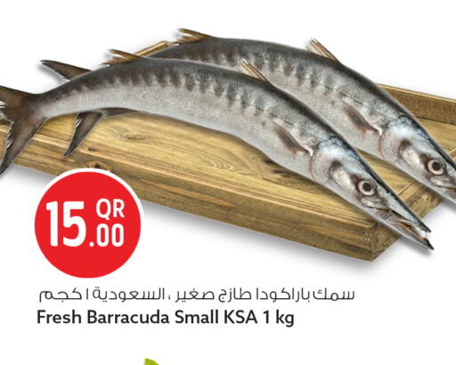 available at Safari Hypermarket in Qatar - Al Wakra