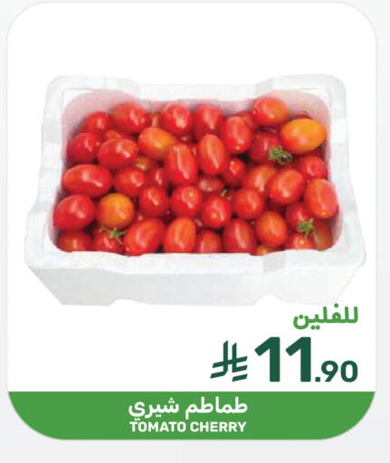 Cherry Tomato available at Mazaya in KSA, Saudi Arabia, Saudi - Dammam