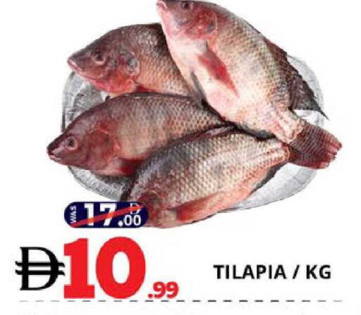 available at EXPRESS AL MADEENA HYPERMARKET LLC in UAE - Abu Dhabi