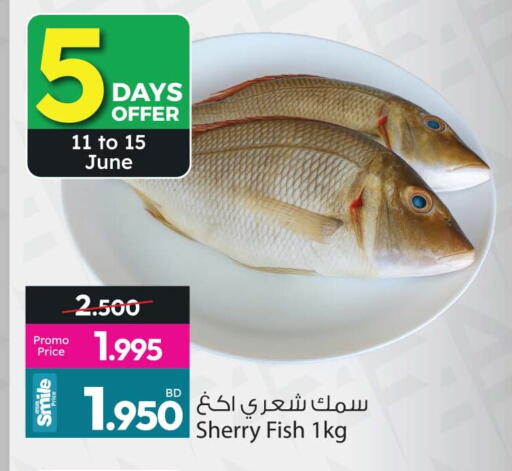 available at أنصار جاليري in البحرين