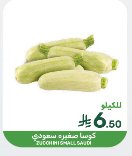 Zucchini from Saudi Arabia available at  مـزايــا in مملكة العربية السعودية, السعودية, سعودية - سيهات