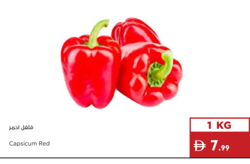 Capsicum available at إسطنبول سوبرماركت in الإمارات العربية المتحدة , الامارات - رَأْس ٱلْخَيْمَة